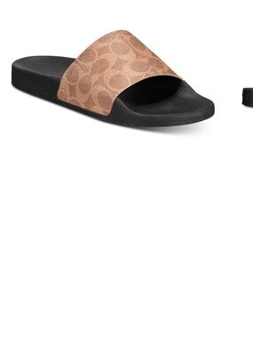 Coach Men's Signature Slide in Brown and Black